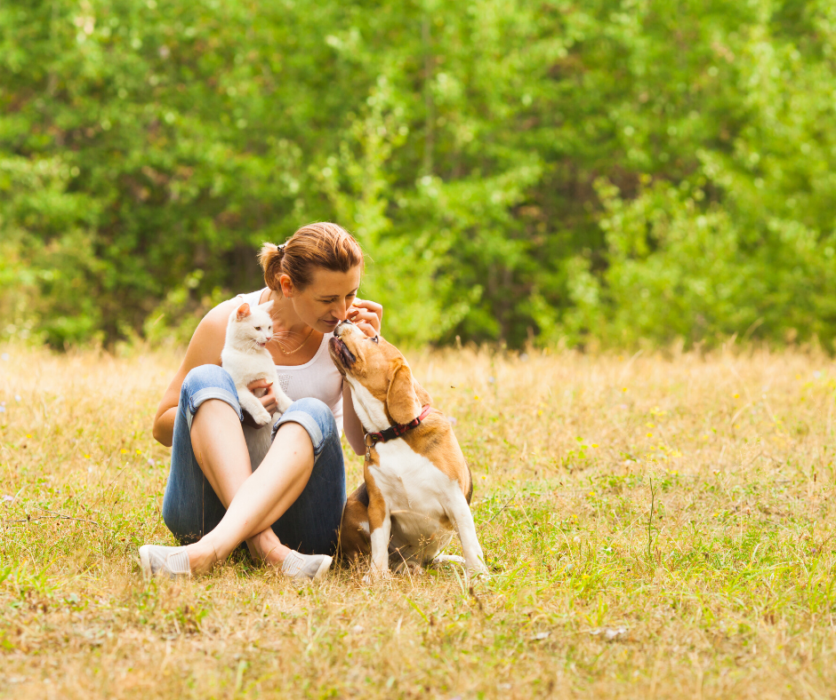 dog and cat bring comfort to human