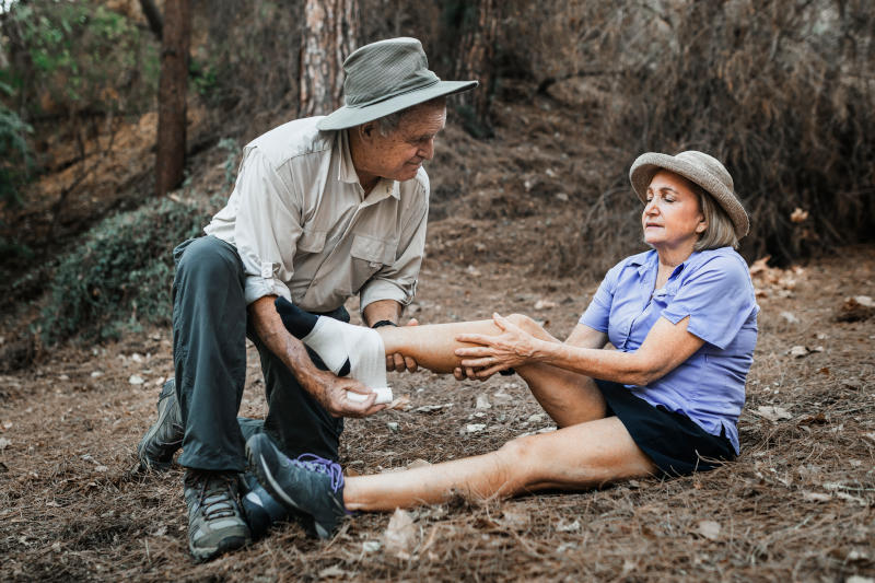 ProTrainings Wilderness First Aid: The Basics