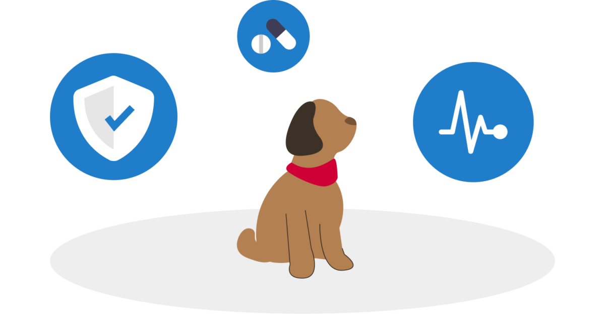 ProTrainings Can Dogs Have Allergies