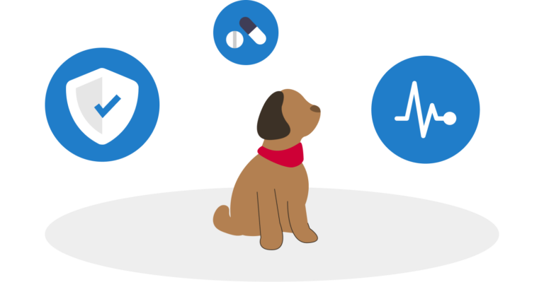 ProTrainings Can Dogs Have Allergies