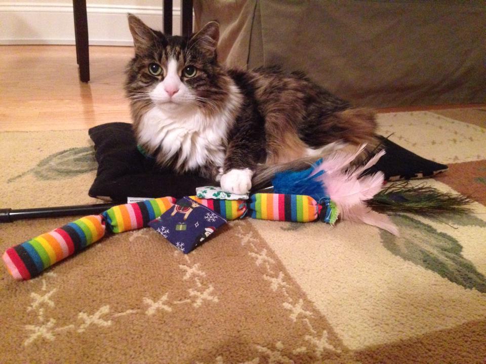 1604897_10152043160401319_1543785200_n