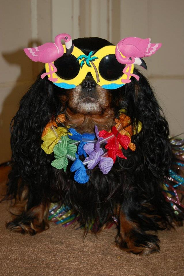 297218_10150338286746319_732339481_n