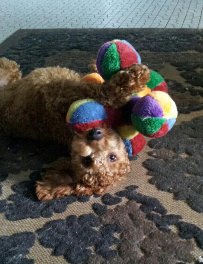 488303_10150941515761319_1707061811_n