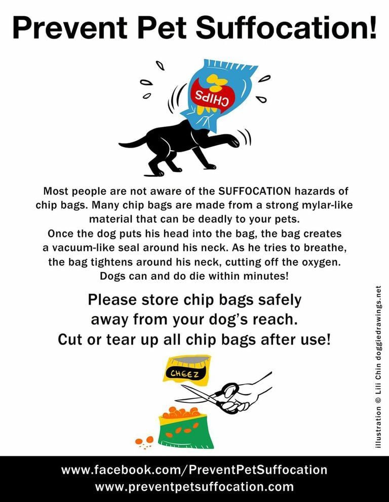 prevent pet suffocation