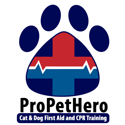 blank-400x400-training